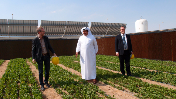 Omvisning på Sahara Forest Project pilotanlegg i Qatar. Fra venstre: Bård Vegar Solhjell,miljøvernminister, Khalifa A. Al-Sowaidi, CEO i Qafco og Joakim H auge, CEO i Sahara Forest Project.